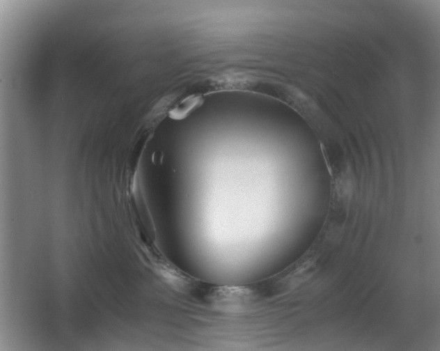 X0000063440429200601231331