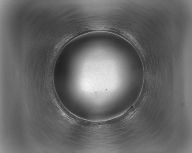 X0000063440433200601231330