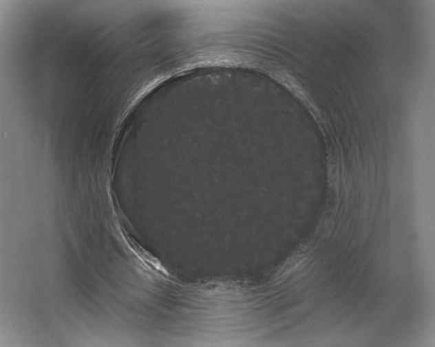 X0000063440434200601231330