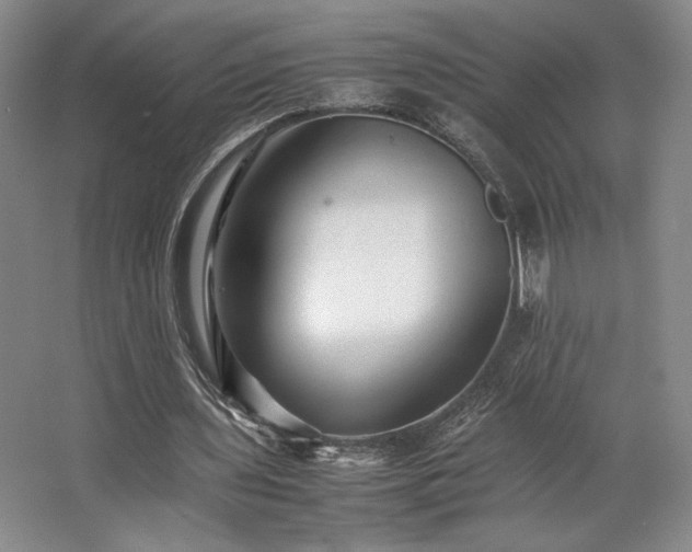 X0000063440435200601231330