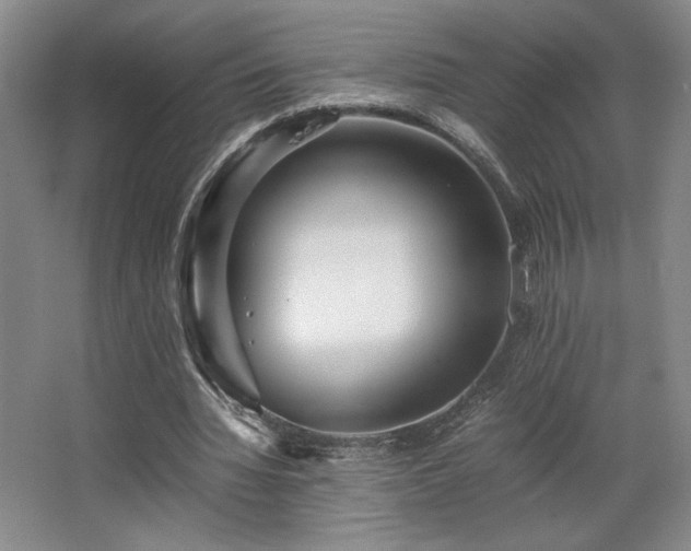 X0000063440436200601231330