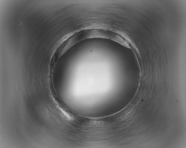 X0000063440437200601231330