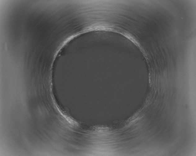 X0000063440438200601231330
