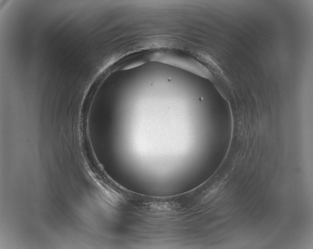 X0000063440439200601231330