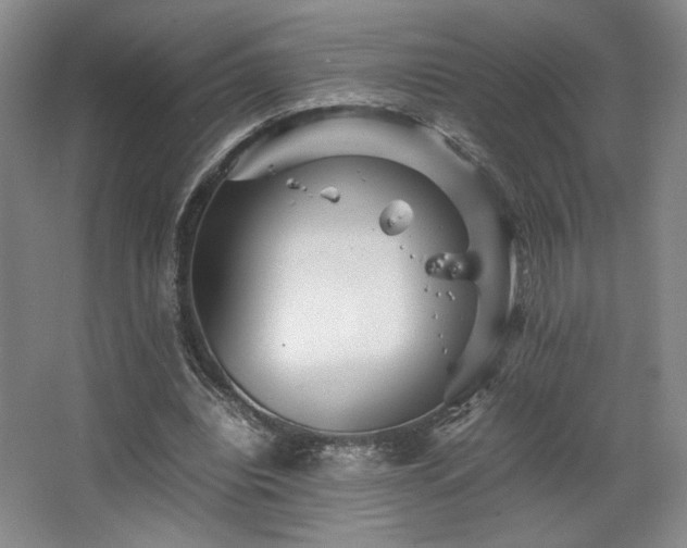 X0000063440440200601231330
