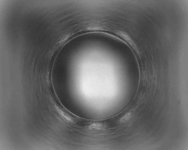 X0000063440441200601231330