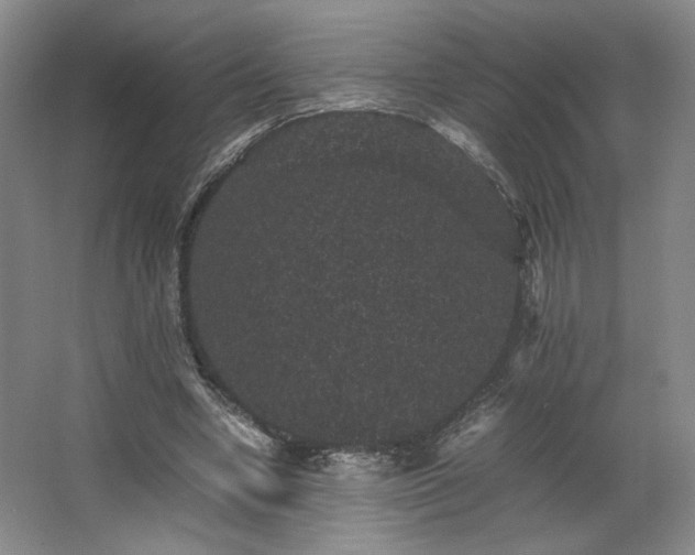 X0000063440442200601231330
