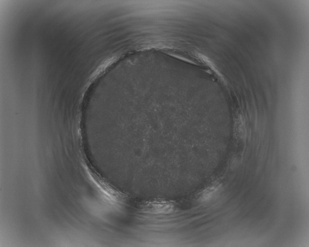 X0000063440443200601231330