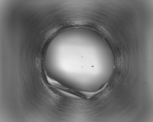X0000063440444200601231330