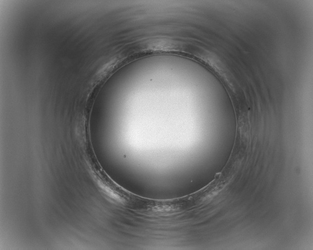 X0000063440445200601231330