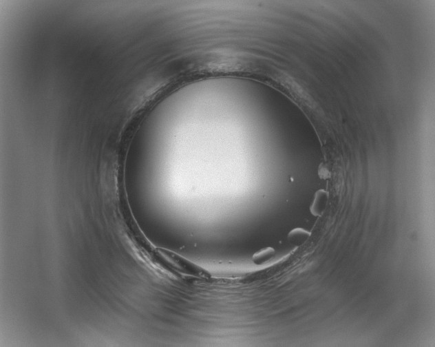 X0000063440446200601231330