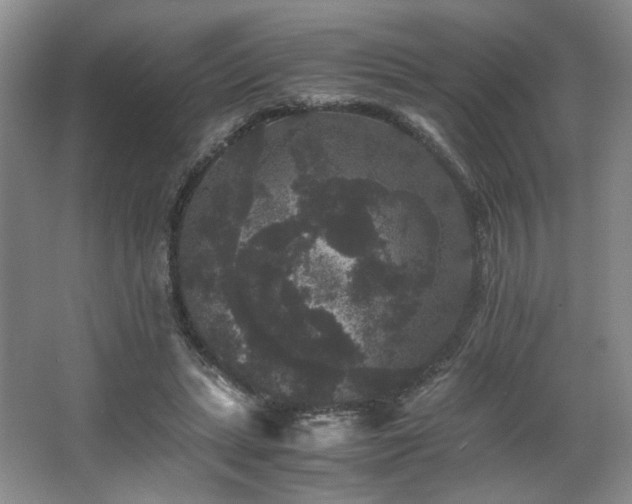 X0000063440447200601231330