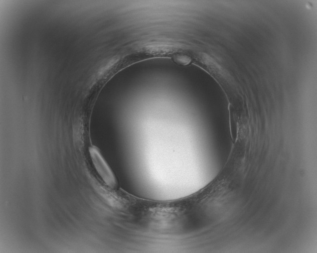 X0000063440448200601231330