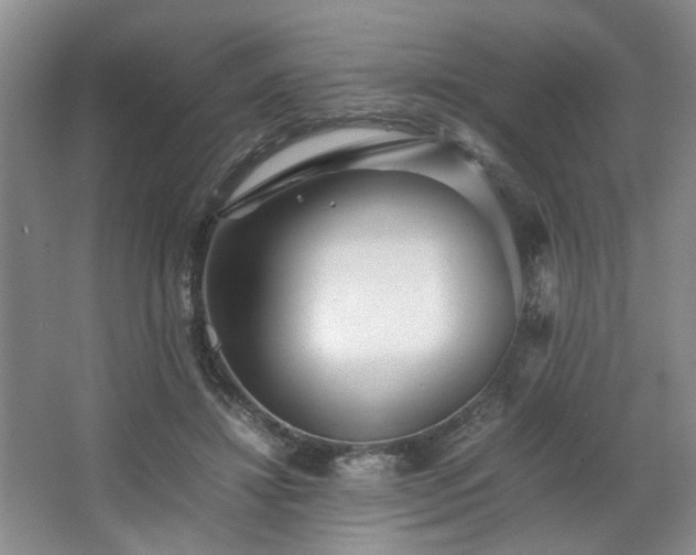 X0000063440452200601231330