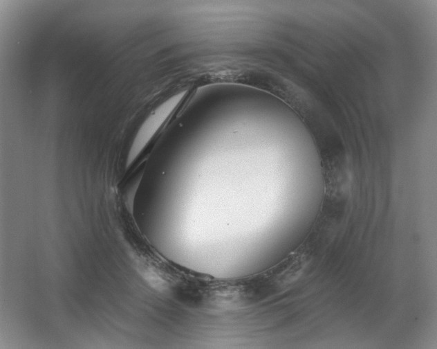 X0000063440456200601231330