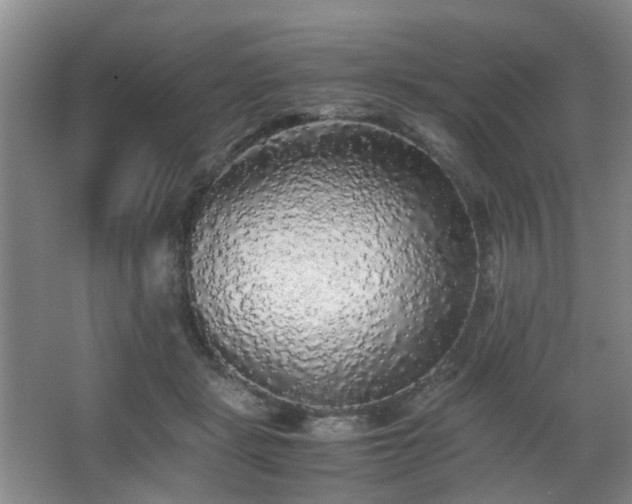 X0000063440461200601231330