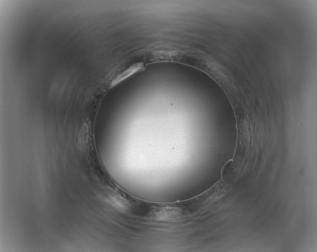 X0000063440463200601231330