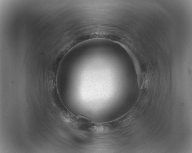 X0000063440464200601231330