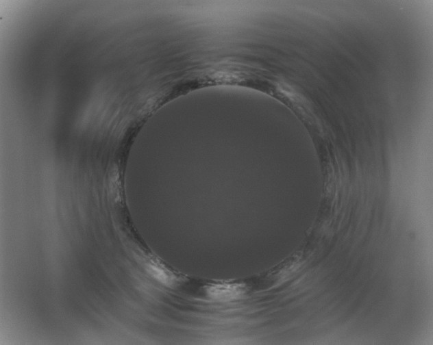 X0000063440465200601231330
