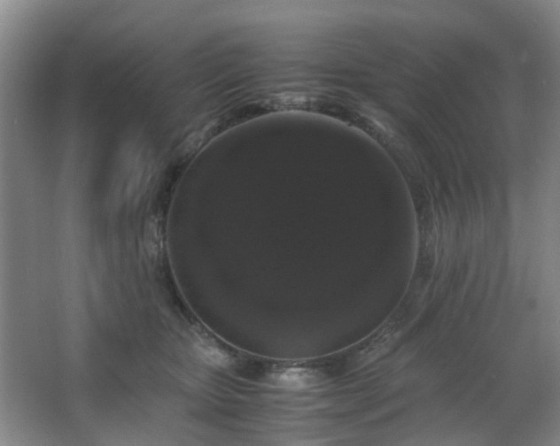 X0000063440467200601231330