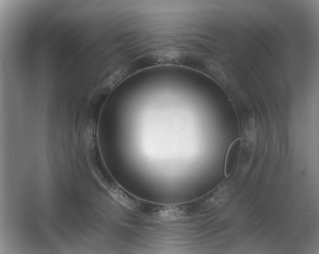 X0000063440468200601231330