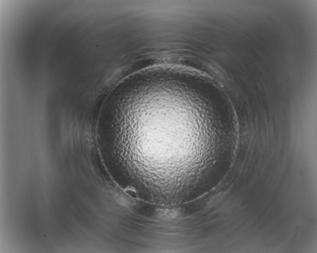 X0000063440469200601231330