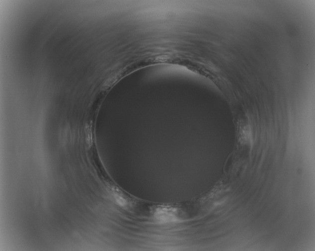 X0000063440471200601231330