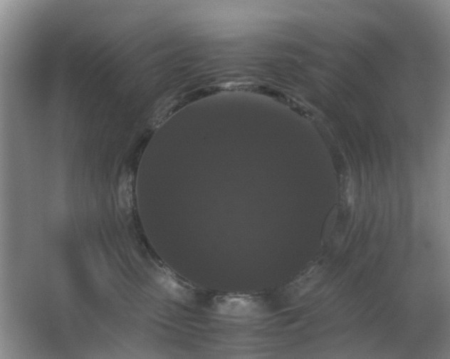 X0000063440475200601231330