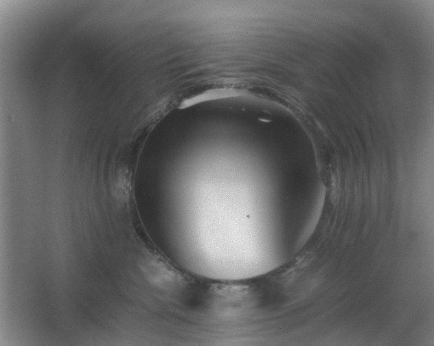 X0000063440476200601231330