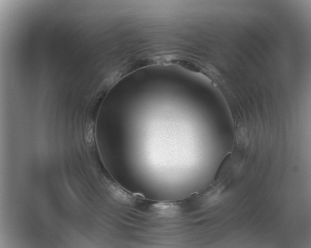 X0000063440477200601231330