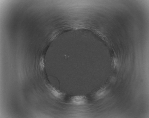 X0000063440479200601231330