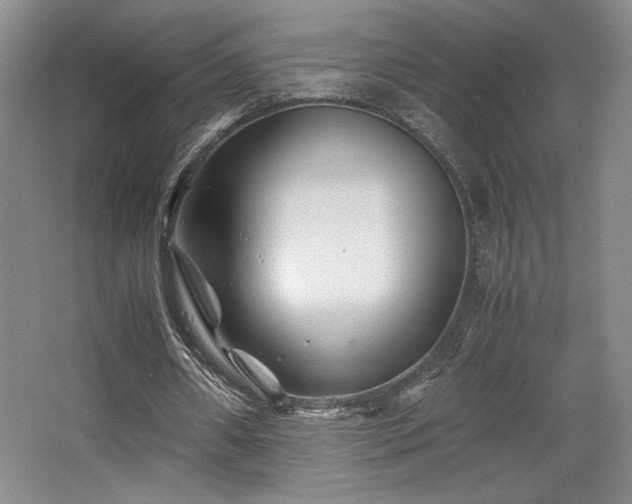 X0000063440482200601231330