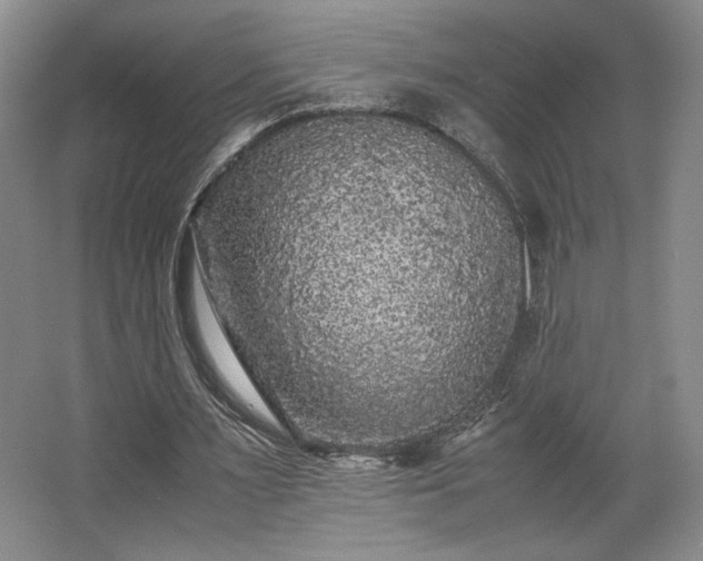 X0000063440483200601231330
