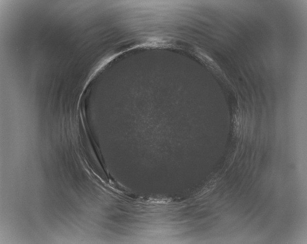 X0000063440484200601231330