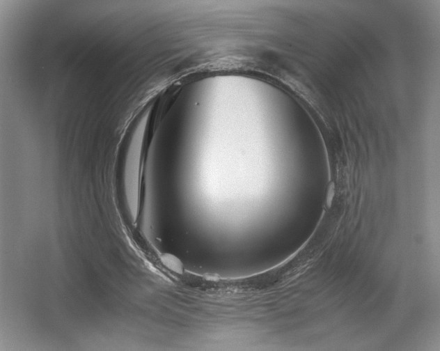 X0000063440485200601231330