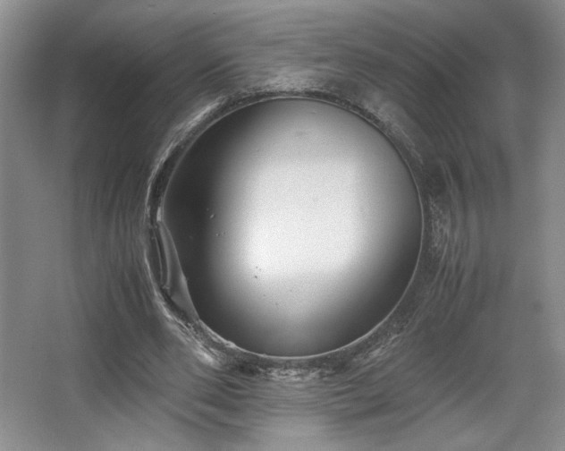 X0000063440486200601231330