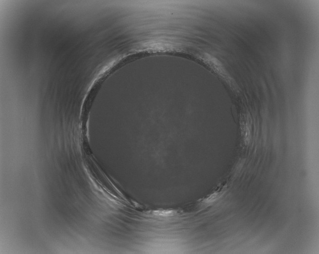 X0000063440488200601231330
