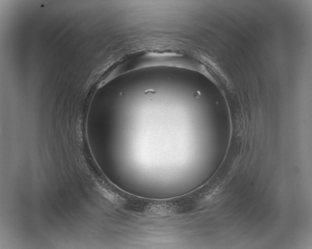 X0000063440489200601231329