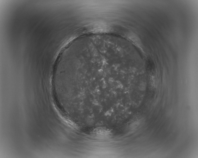X0000063440491200601231329