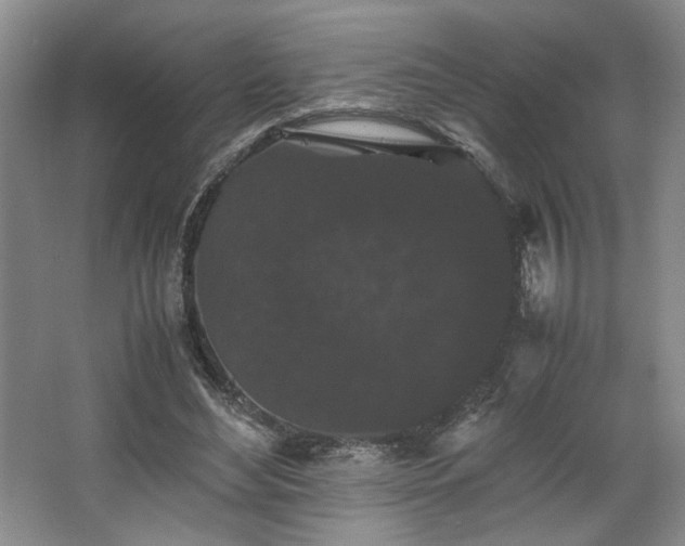 X0000063440492200601231329