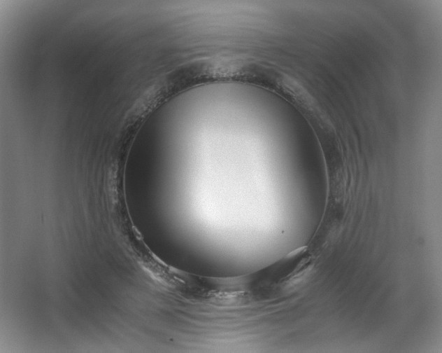 X0000063440497200601231329