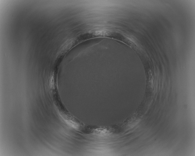X0000063440502200601231329