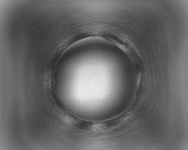 X0000063440505200601231329