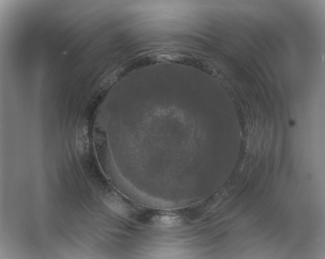 X0000063440506200601231329