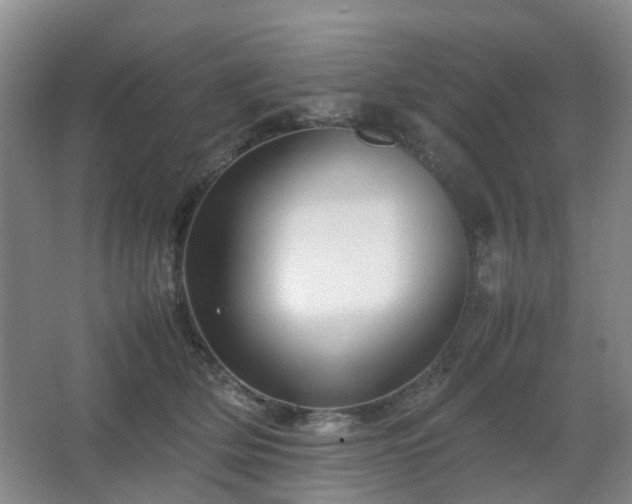 X0000063440514200601231329