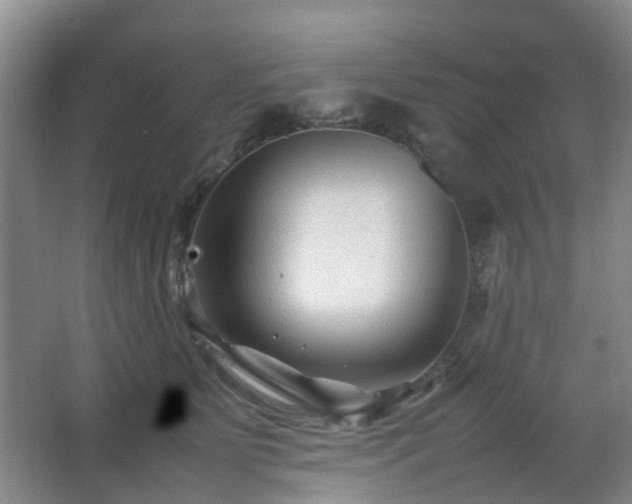 X0000063440515200601231329