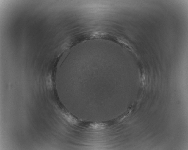 X0000063440520200601231329