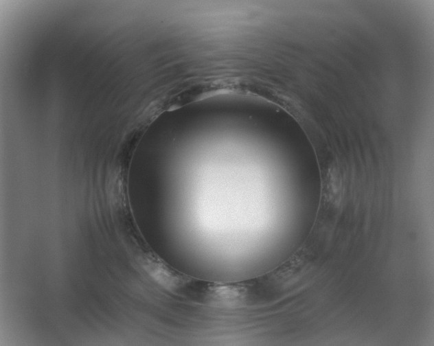 X0000063440522200601231329