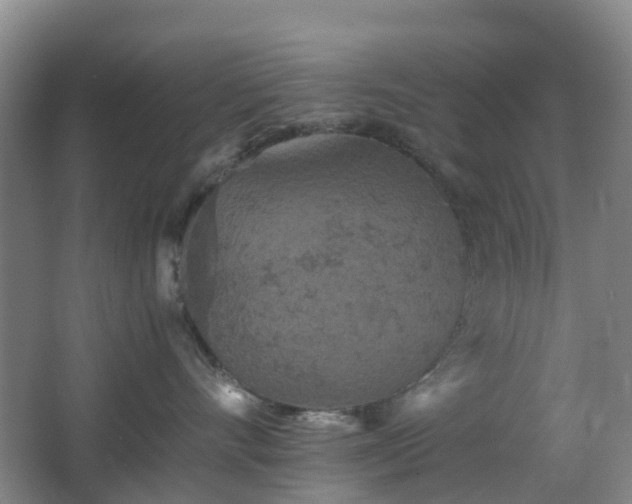 X0000063440528200601231329