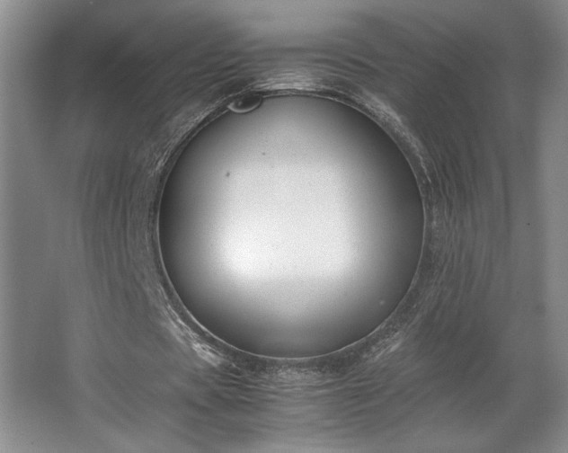 X0000063440529200601231328